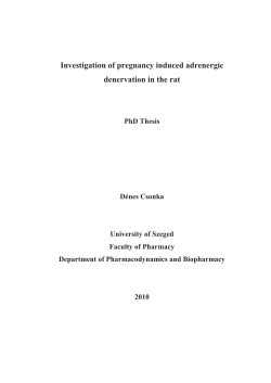 Investigation of pregnancy induced adrenergic denervation in the rat