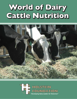 World of Dairy Cattle Nutrition