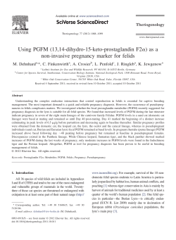 ␣) as a Using PGFM (13,14-dihydro-15-keto-prostaglandin F2 non-invasive pregnancy marker for felids