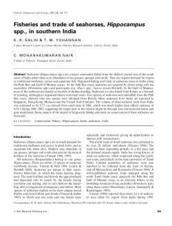 Fisheries and trade of seahorses, Hippocampus spp., in southern India
