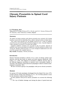 Chronic  Prostatitis  in  Spinal  Cord