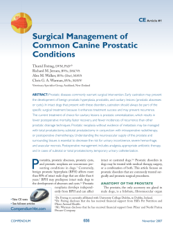 Surgical Management of Common Canine Prostatic Conditions CE