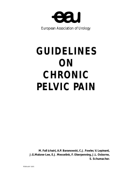 GUIDELINES ON CHRONIC PELVIC PAIN
