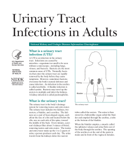 Urinary Tract Infections in Adults What is a urinary tract infection (UTI)?