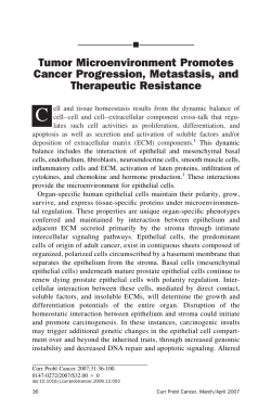 C Tumor Microenvironment Promotes Cancer Progression, Metastasis, and Therapeutic Resistance