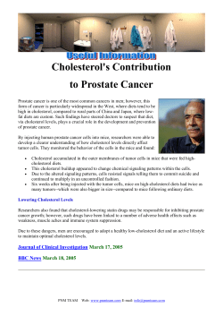 Cholesterol's Contribution to Prostate Cancer