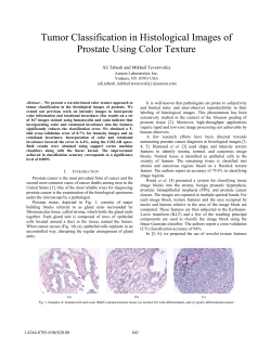 Tumor Classification in Histological Images of Prostate Using Color Texture