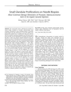 Small Glandular Proliferations on Needle Biopsies O