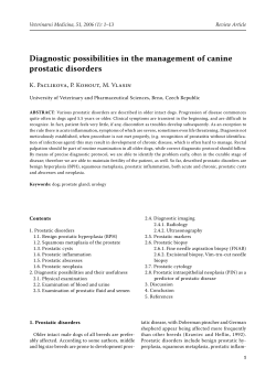 Diagnostic possibilities in the management of canine prostatic disorders