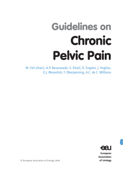 Chronic Pelvic Pain Guidelines on