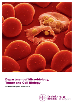 Department of Microbiology, Tumor and Cell Biology Scientific Report 2007–2009