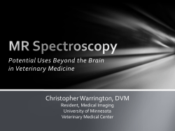 Potential Uses Beyond the Brain in Veterinary Medicine Christopher Warrington, DVM
