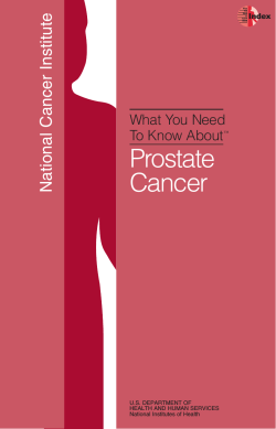 Prostate Cancer National Cancer Institute What You Need