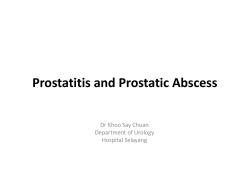 Prostatitis and Prostatic Abscess Dr Khoo Say Chuan Department of Urology Hospital Selayang