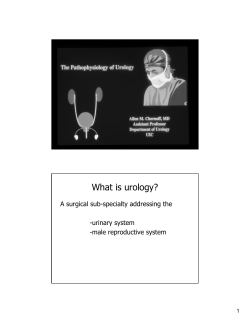 What is urology? A surgical sub-specialty addressing the -urinary system -male reproductive system