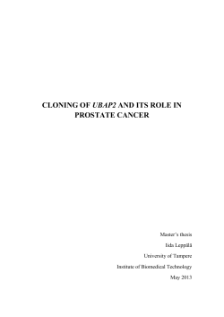 UBAP2 PROSTATE CANCER Master’s thesis