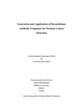 Generation and Application of Recombinant Antibody Fragments for Prostate Cancer Detection