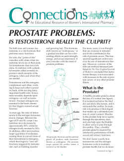 PROSTATE PROBLEMS: IS TESTOSTERONE REALLY THE CULPRIT?