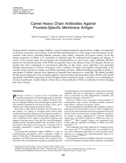 Camel Heavy Chain Antibodies Against Prostate-Specific Membrane Antigen