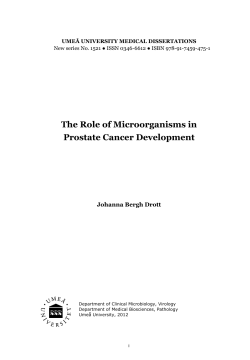 The Role of Microorganisms in Prostate Cancer Development  Johanna Bergh Drott