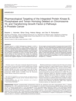Pharmacological Targeting of the Integrated Protein Kinase B,