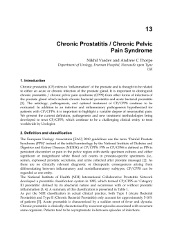 13 Chronic Prostatitis / Chronic Pelvic Pain Syndrome