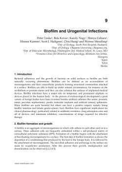 9 Biofilm and Urogenital Infections
