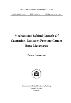 Mechanisms Behind Growth Of Castration-Resistant Prostate Cancer Bone Metastases