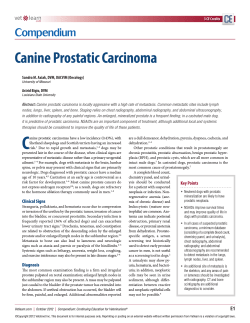 Canine Prostatic Carcinoma Abstract: