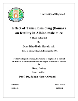 Effect of Tamsulosin drug (flomax) on fertility in Albino male mice