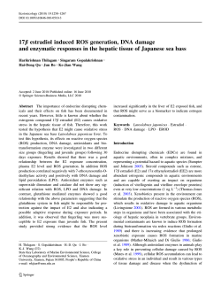 17 b estradiol induced ROS generation, DNA damage