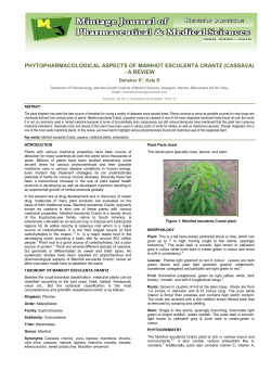 PHYTOPHARMACOLOGICAL ASPECTS OF MANIHOT ESCULENTA CRANTZ (CASSAVA) - A REVIEW