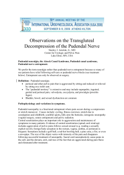 Observations on the Transgluteal Decompression of the Pudendal Nerve