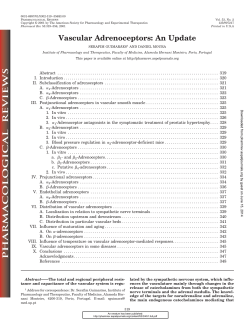Vascular Adrenoceptors: An Update