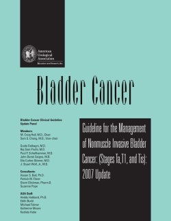 Bladder Cancer Guideline for the Management of Nonmuscle Invasive Bladder