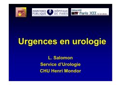 Urgences en urologie L. Salomon Service d’Urologie CHU Henri Mondor