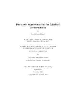 Prostate Segmentation for Medical Interventions