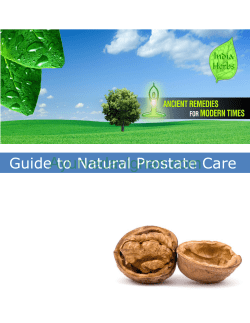 Ayurvedavignan.com Guide to Natural Prostate Care