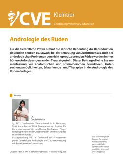CVE Andrologie des Rüden Kleintier