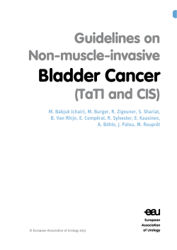 Bladder Cancer Guidelines on Non-muscle-invasive (TaT1 and CIS)