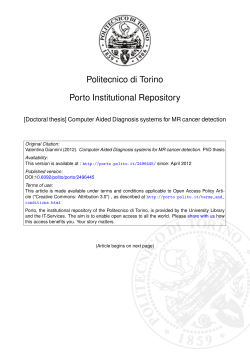 Politecnico di Torino Porto Institutional Repository