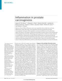 Inflammation in prostate carcinogenesis