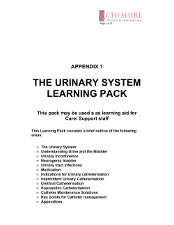 THE URINARY SYSTEM LEARNING PACK  APPENDIX 1