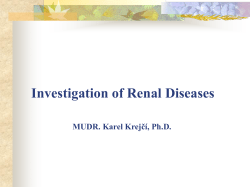 Investigation of Renal Diseases  MUDR. Karel Krejčí, Ph.D.