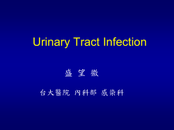 Urinary Tract Infection 盛 望 徽 台大醫院 內科部 感染科