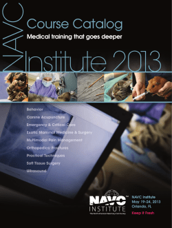 C AV N Institute 2013