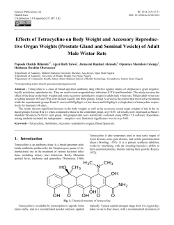 Effects of Tetracycline on Body Weight and Accessory Reproduc-