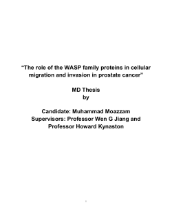 “The role of the WASP family proteins in cellular MD Thesis