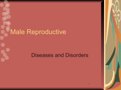 Male Reproductive Diseases and Disorders 1