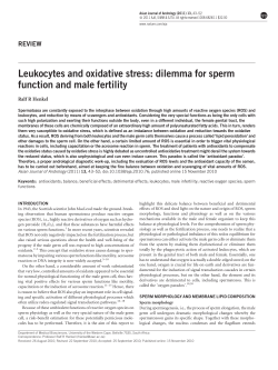 Leukocytes and oxidative stress: dilemma for sperm function and male fertility REVIEW